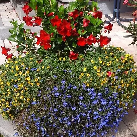 Unterkraemerhof 3* Fusch an der Grossglocknerstrasse